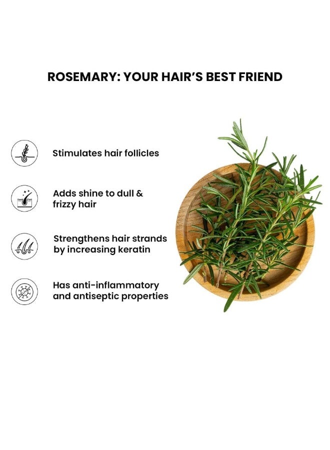 ثريفيكو بخاخ الشعر بماء إكليل الجبل من ثرايف كو | بخلاصة إكليل الجبل الطبيعية 100%، وماء الأرز، وحمض الهيالورونيك | لنمو الشعر، والتحكم في تساقطه، وترطيبه، ومنحه لمعانًا | للرجال والنساء، عبوة من قطعتين سعة 100 مل - Image 4